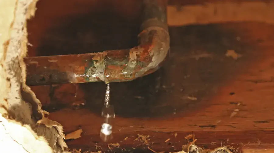 A copper supply pipe dripping inside an opened wall cavity